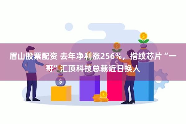 眉山股票配资 去年净利涨256%，指纹芯片“一哥”汇顶科技总裁近日换人