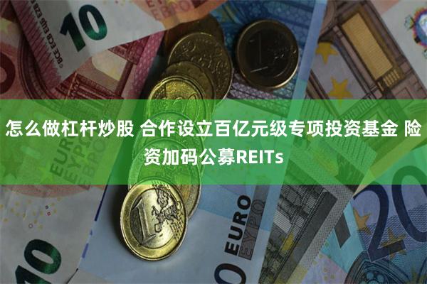 怎么做杠杆炒股 合作设立百亿元级专项投资基金 险资加码公募REITs