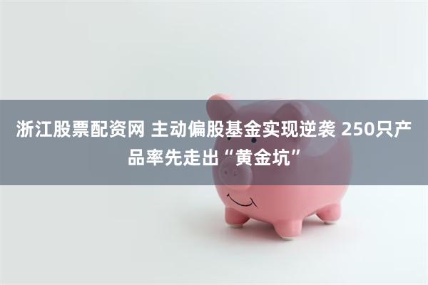 浙江股票配资网 主动偏股基金实现逆袭 250只产品率先走出“黄金坑”