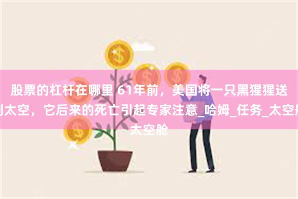 股票的杠杆在哪里 61年前，美国将一只黑猩猩送到太空，它后来的死亡引起专家注意_哈姆_任务_太空舱