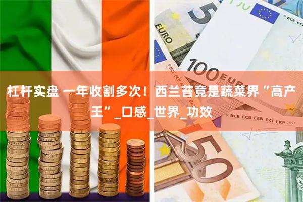 杠杆实盘 一年收割多次！西兰苔竟是蔬菜界“高产王”_口感_世界_功效